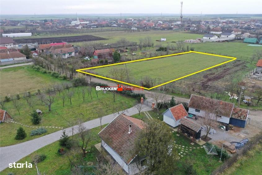 Teren intravilan de 2.623 mp in Les la 20 min de Oradea - 2