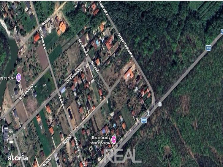 Teren de vanzare in Snagov - 981 mp - 5