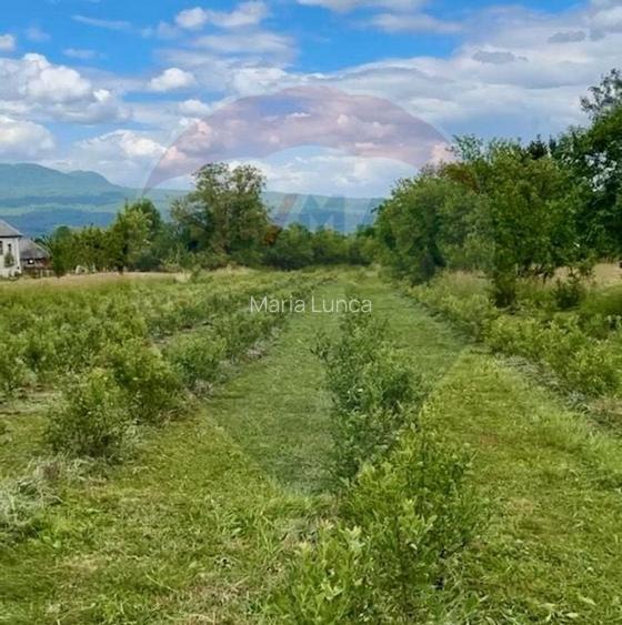 Teren 6,900mp Breb / Strada PRINCIPALA