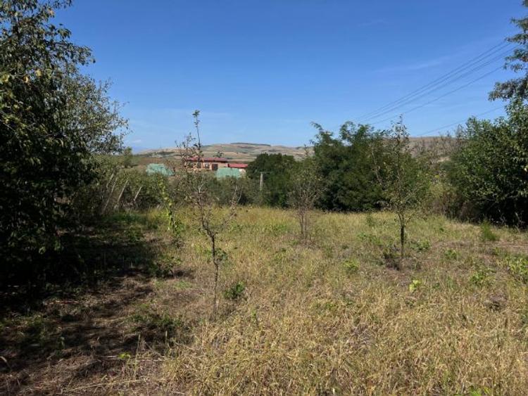 Vand casa situata in localitatea Rosia de Secas din judetul Alba - 5