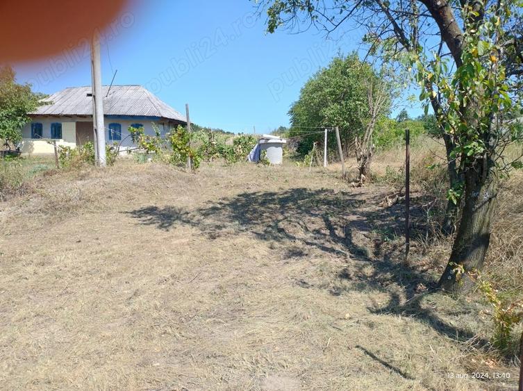 Hala pe Structura Metalica+ Casabatraneasca + 4800 m2 - 5