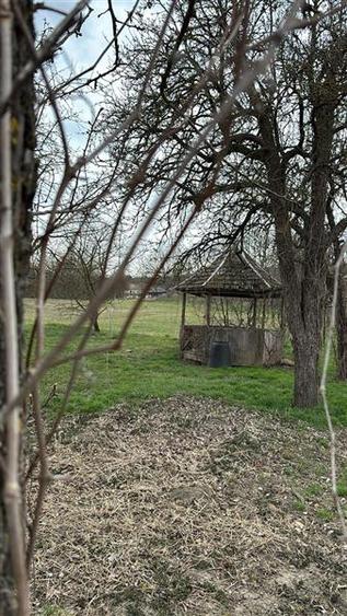 De vanzare spatiu comercial cu teren de 80 arii, Santioana, Jud Mures - 10