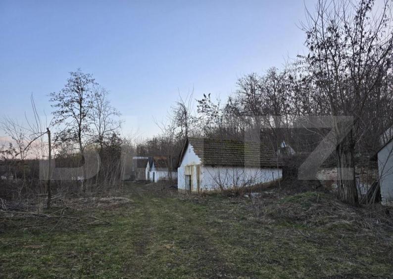 Teren intravilan 7.9 ha. Sandra - 12