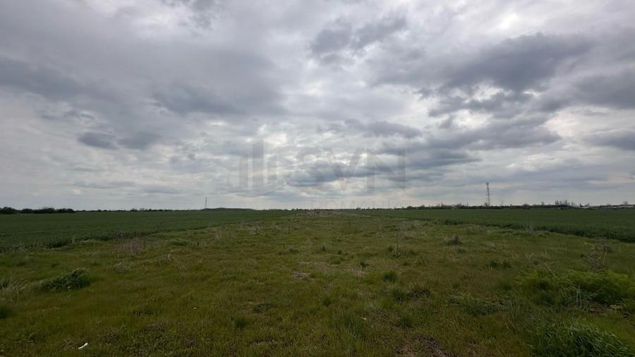 REL4001116 Teren de vanzare Popesti Leordeni - 2