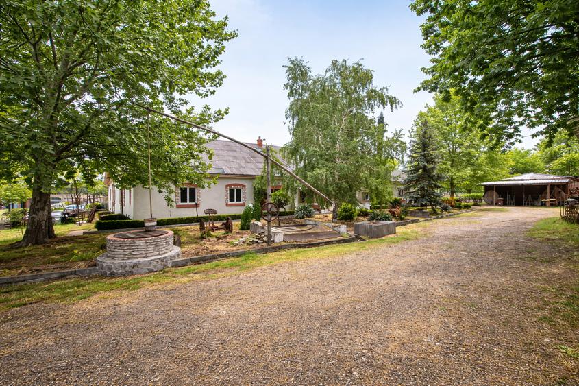 Cramă complet funcțională in inima Podgoriei Odobești - 3