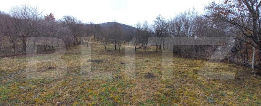 Teren extravilan 1500mp,Valea Rusului - 2