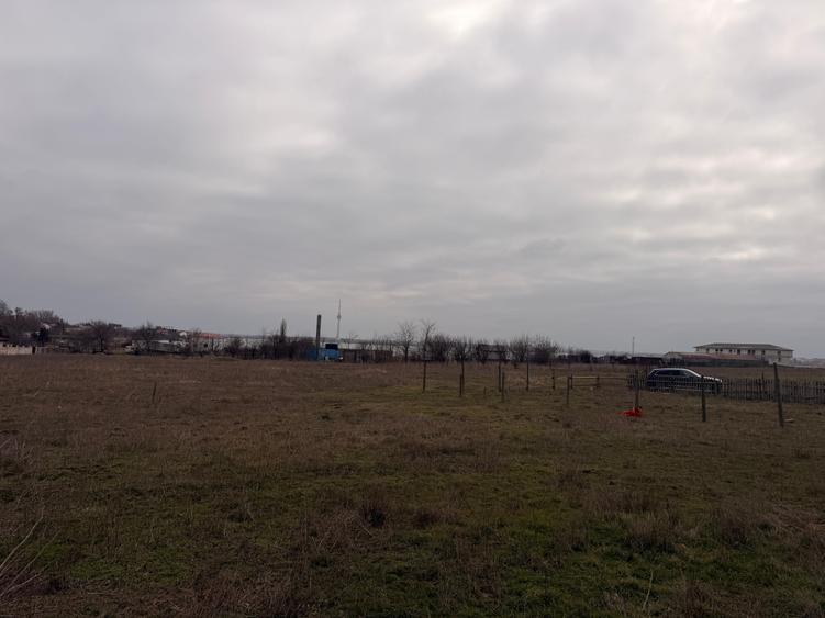 TECHIRGHIOL-POPAS SINCAI TEREN INTRAVILAN 390 MP. APROAPE DE LAC, PRET 24.900 EU - 4