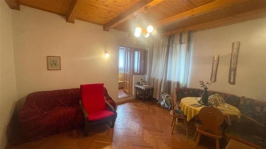 Ferdinand, cartier rezidential, vila burgheza cu magnolie - 6