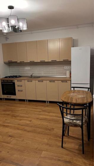 Apartament 2 camere de inchiriat D-na Stanca - 1