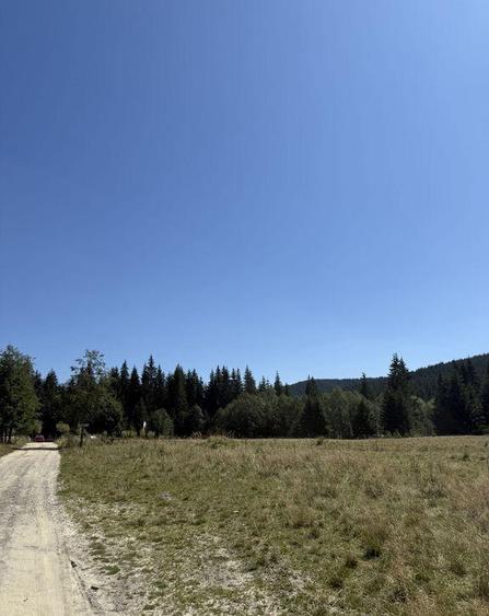 SUPER OCAZIE - Teren intravilan, COMANDAU-PUZ case de vac... - 7