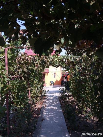 Vila P+1 in Craiova 250000 - 2