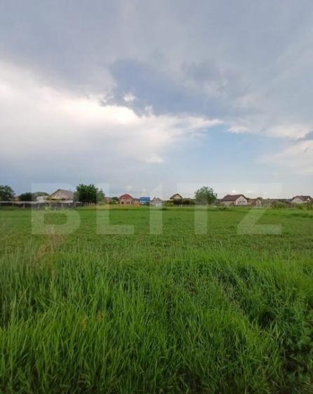 Teren cadastrat, cu CF, 600 mp, in zona Poiana - 3