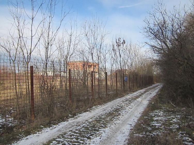 Domnesti-Teghes-Padure - 12