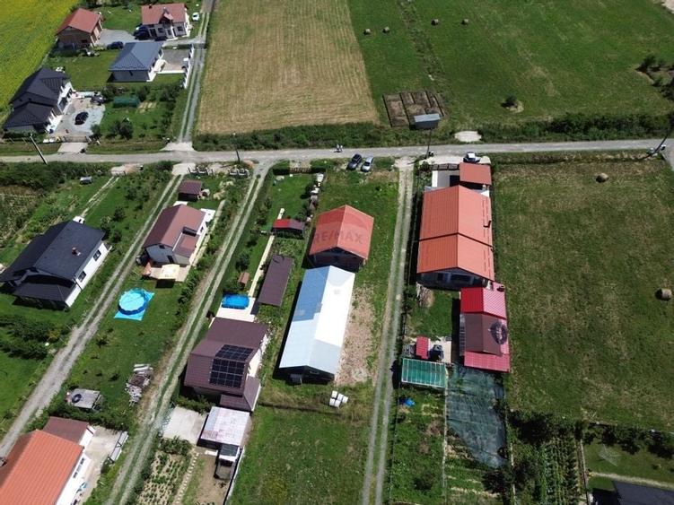 Casa 90m2 cu hala 120 m2 si 8 ari de teren de vanzare in CATALINA - 6