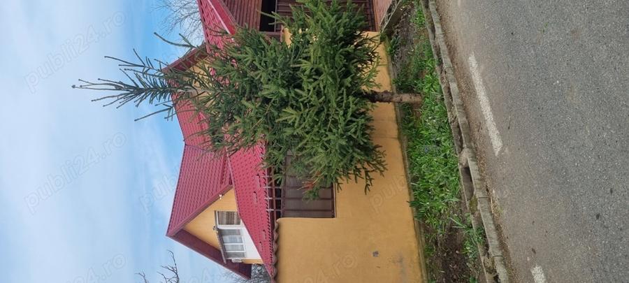 Proprietate de vinzare - 5