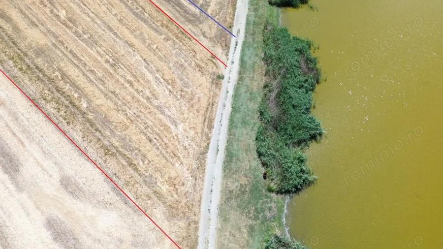 teren la lac Frumusani - 8