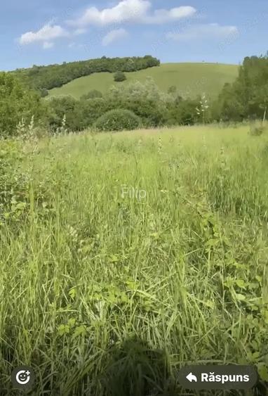 Pamant cu casa batraneasca