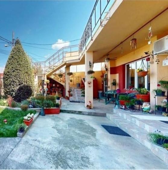 Vanzare Voluntari  Vila P+E/M(8camere) - Case batranesti   Voluntari / Pipera - 3