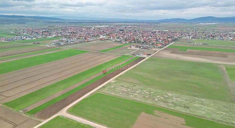 Teren intravilan - 9