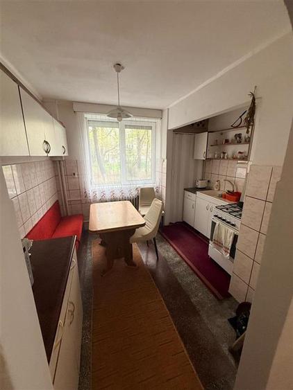 Apartament X mare 2 camere zona foarte linistita Splaiul Crisanei - 3