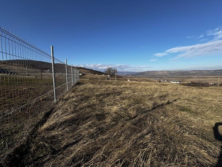 Oportunitate investitie 1153mp Tarnita - Micesti - 6