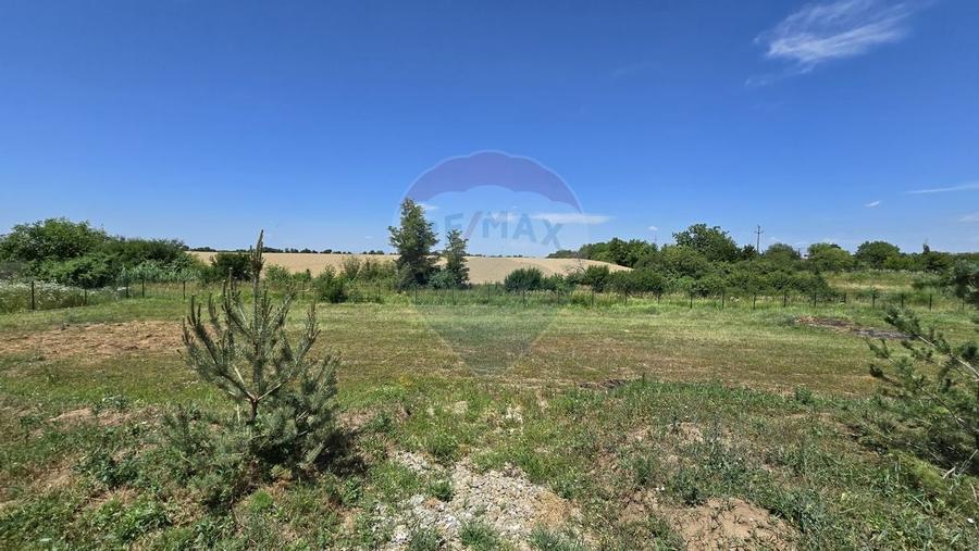 DE VANZARE | Hale | 1407mp | Teren 9344 | Potigrafu - 11