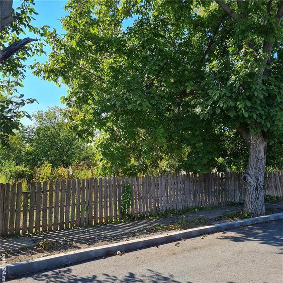 CASA DE VANZARE TANDAREI (curte din Str. Garii pana in Str Caprioarei) - 7