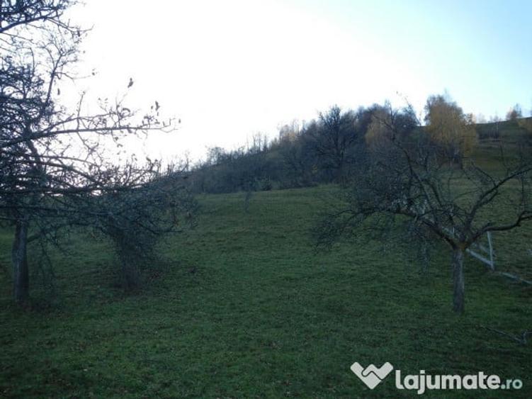 Casa si teren intravilan 6265 mp in zona Bran-Simon - 7