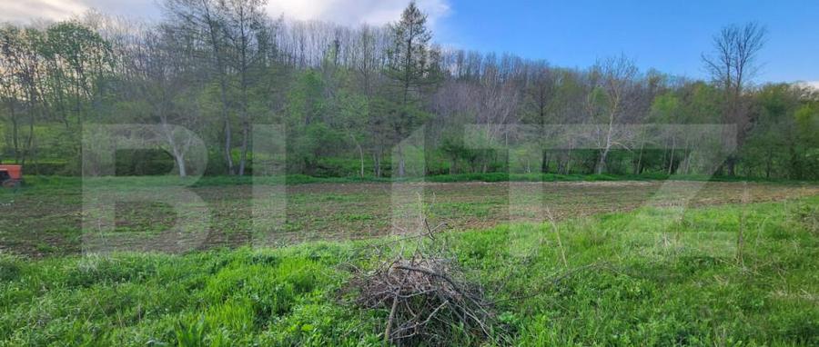 Teren 6650 mp, cu casa nefinalizata de 111 mp, in Nisipoasa - 11