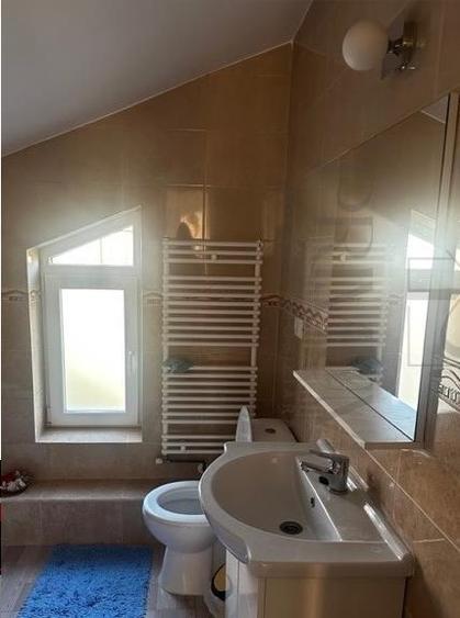 Ciarda Rosie- duplex spatios 4  camere, mobilat si utilat, semineu pe lemne - 5