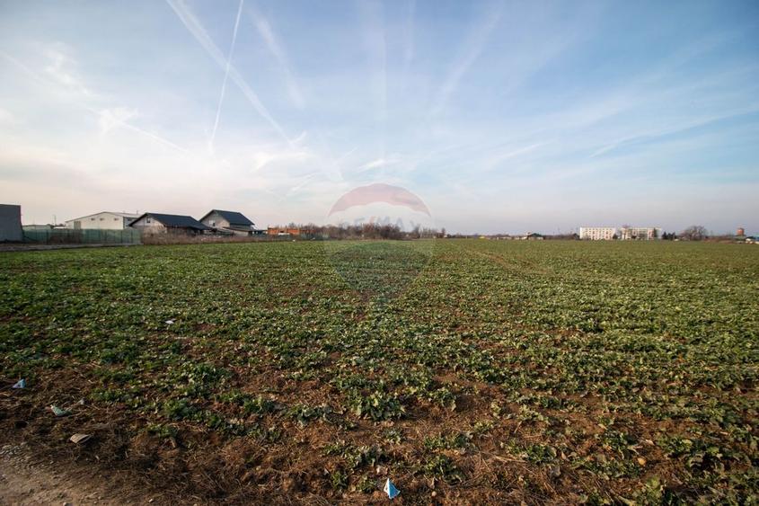 Teren Intravilan de vanzare 21000 mp Balotesti Central Soseaua Unirii - 11