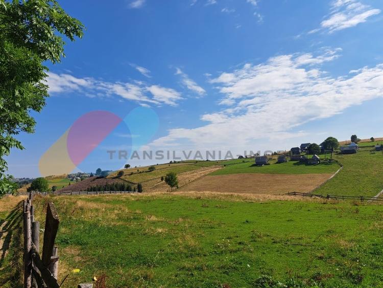 Teren Intravilan 1587 mp, Localitatea Maguri-Racatau - 8