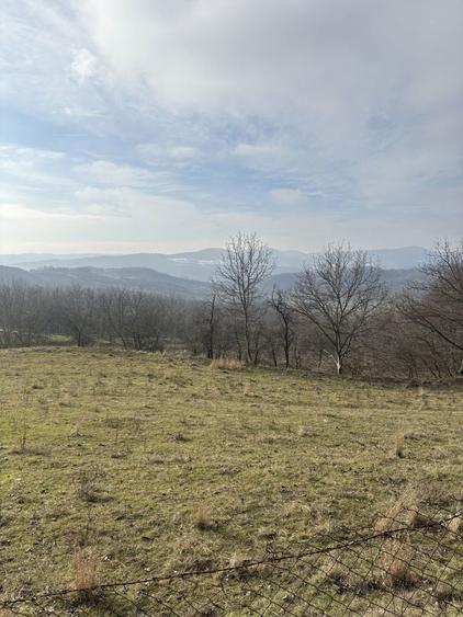 Teren de casa, livada si padure - 1