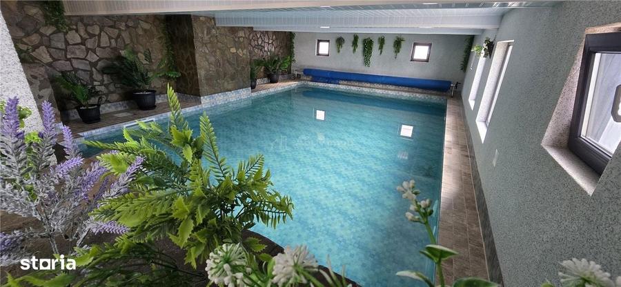 Vila PREMIUM, piscina, teren 2000 mp, POSTA CALNAU - 8