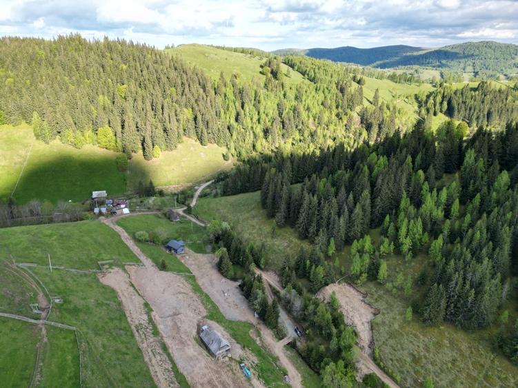 Teren de vanzare, Muntele Bocului Baisoara ,teren1000 mp - 1