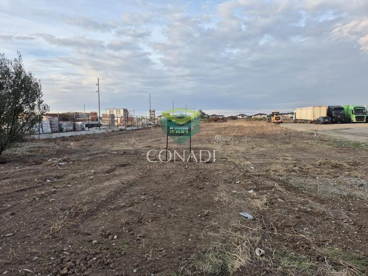 Oportunitate - Teren Chitila - 8.700 mp - pretabil pentru hale - 3