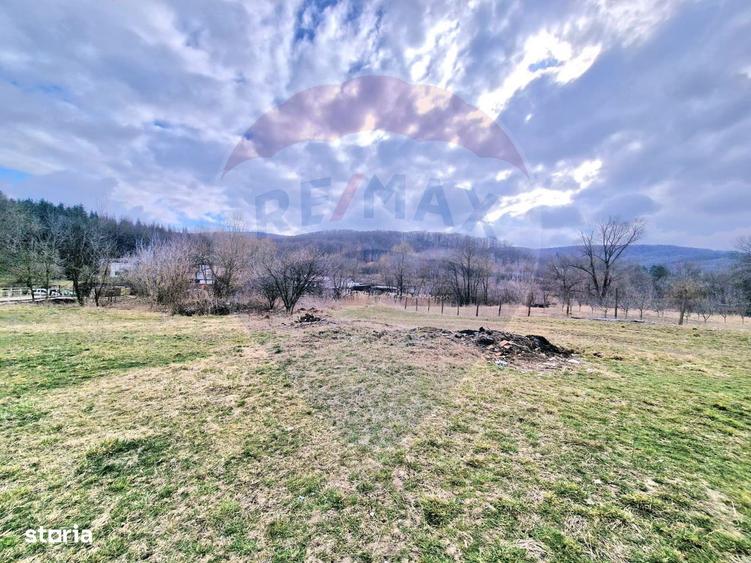 Teren Intravilan generos la intrare in Luncani - 8