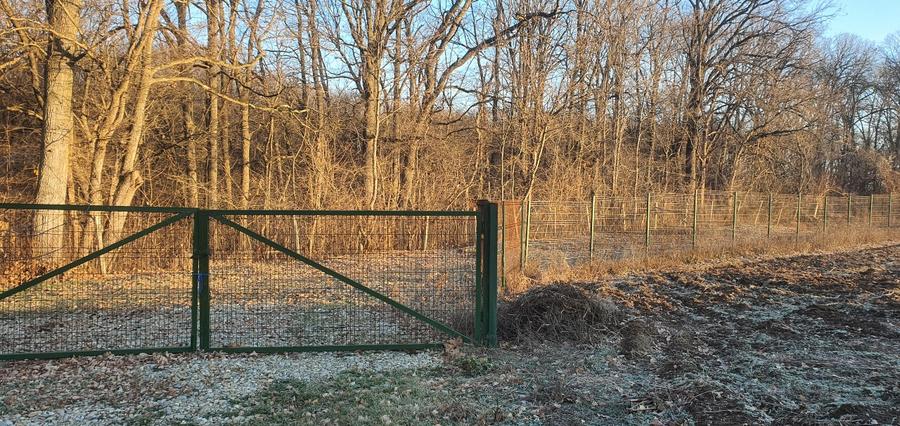 Snagov-Tancabesti, Teren de vanzare langa padure - 2