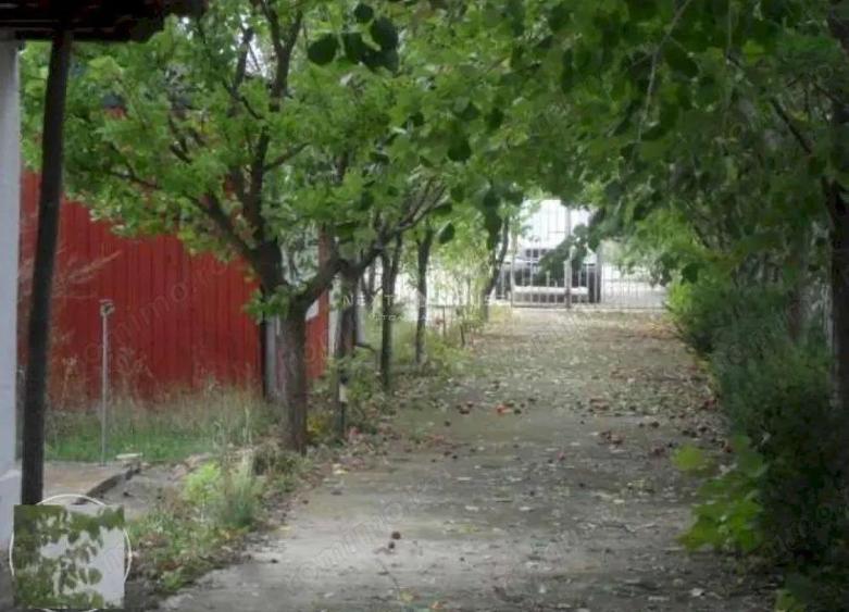 Teren la 35 km de Bucuresti - Izvorani - Ciolpani - 9