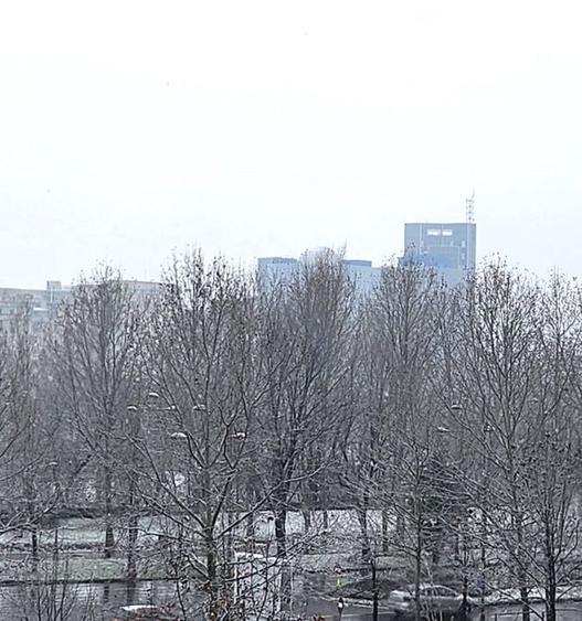 Vanzare Apartament 3 Camere Stradal Bd. Unirii - 10