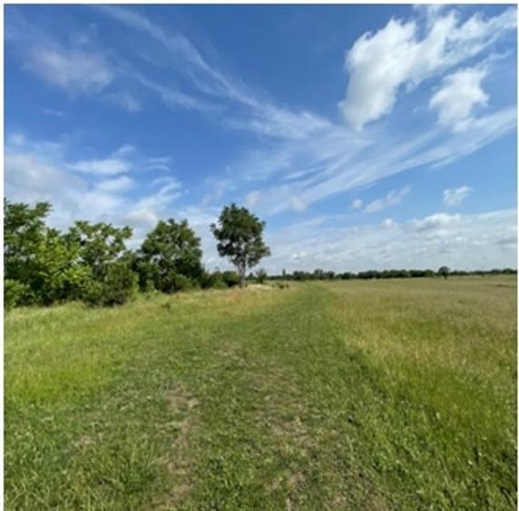 Teren intravilan - 4