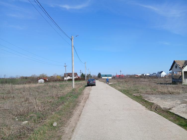 Teren intravilan 16400 mp, Balotesti-Saftica - 50 euro/m2 - 2