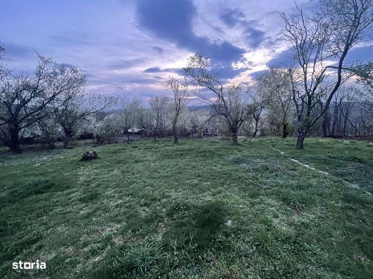 Teren Resita Extravilan Stema 24 Ianuarie Pret Negociabil - 6