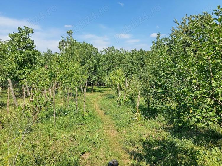 Casuta in zona linistita - 1