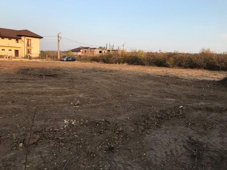 Teren Mogosoaia intravilan - 2