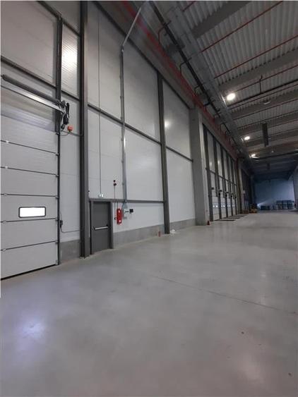 Spatiu Industrial - 5300 mp - Logistica - Productie - Depozitare - Distributie - 15