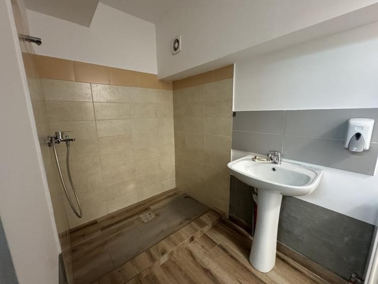 Spatiu comercial, 229 mp utili, rampa acces auto, zona Iulius Mall - 17