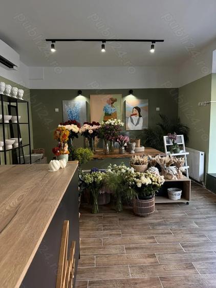 Florarie de vanzare Brasov - 3