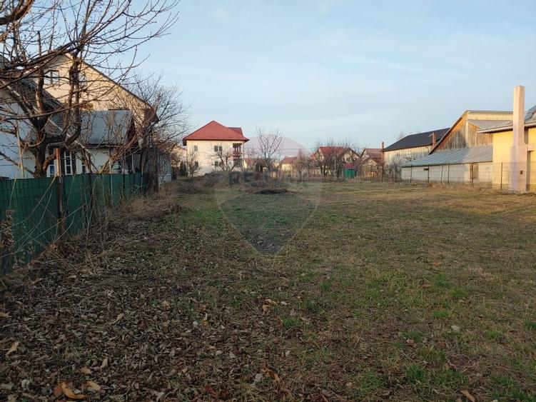 Teren intravilan 1,000mp Scheia / DN 17 - 11