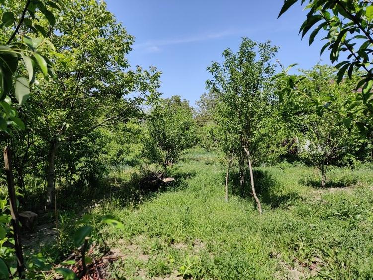 Oportunitate dezvoltare/constructie  2 proprietati Casa+teren 2200 m2,zona buna, - 10